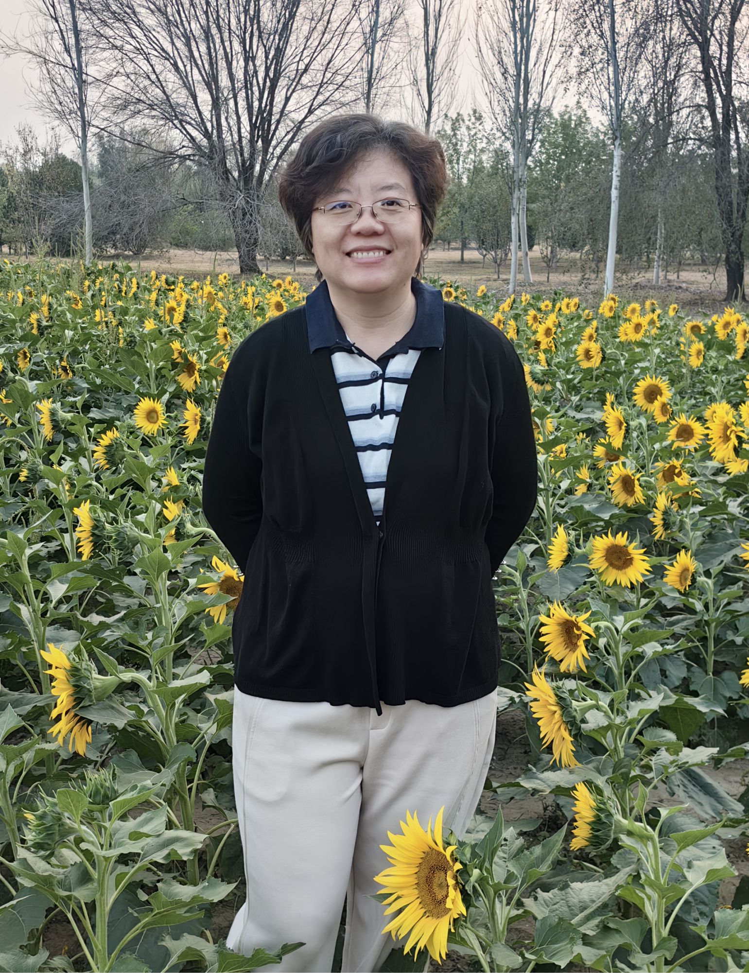 Xueli Xu